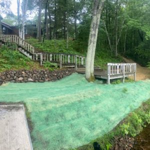 Lawn Grass Seeding